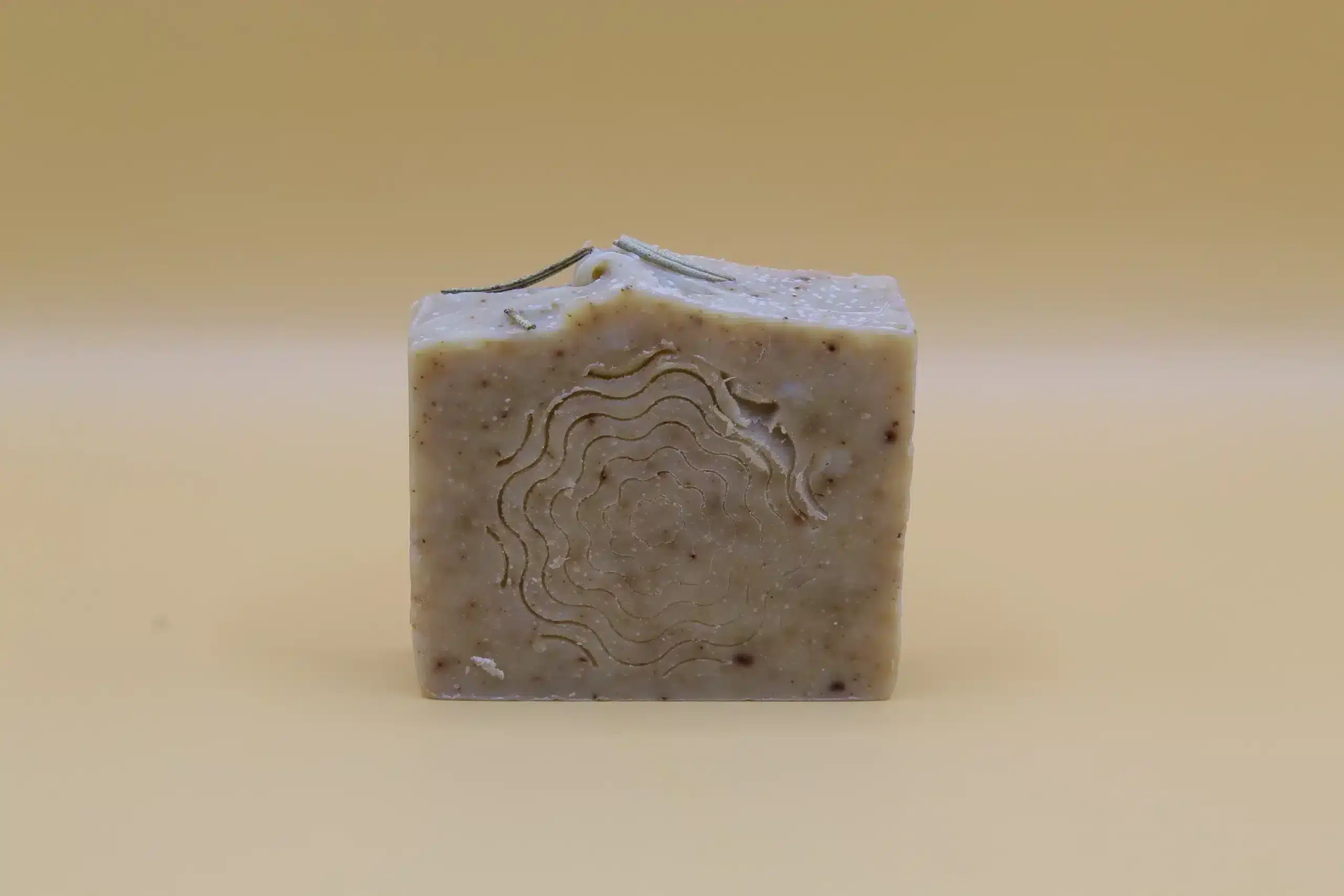 Savon shampoing romarin bouleau | SwissAlpCare – Image 3